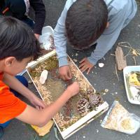 Jeux autour de la nature